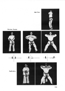 hechyo-pulgi-yoo-sin-3